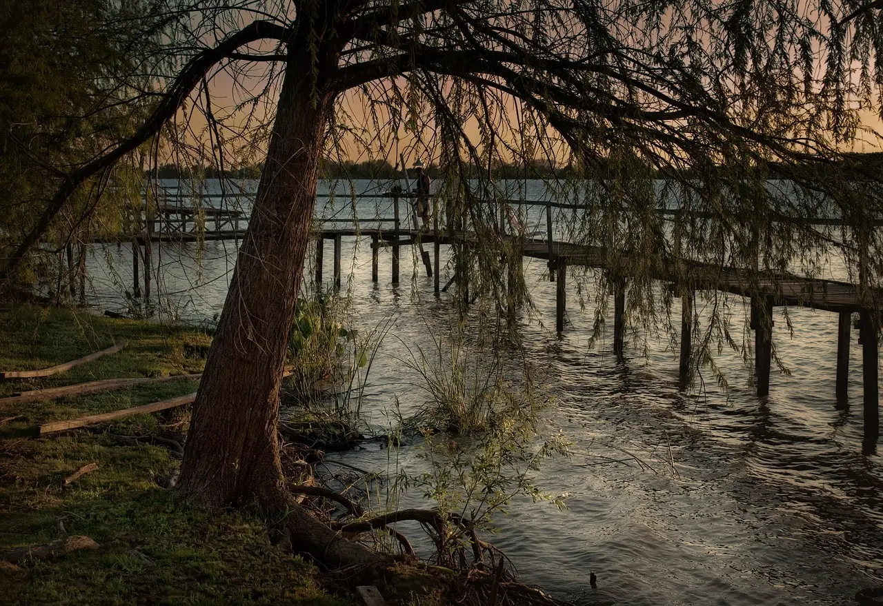 Hvordan er vejret i Rosario i uge 30?