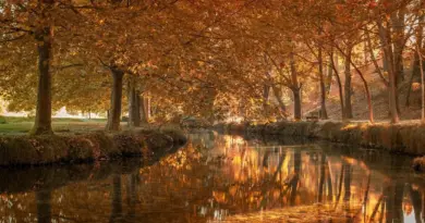 12 fodboldmuseer i Argentina du bør besøge