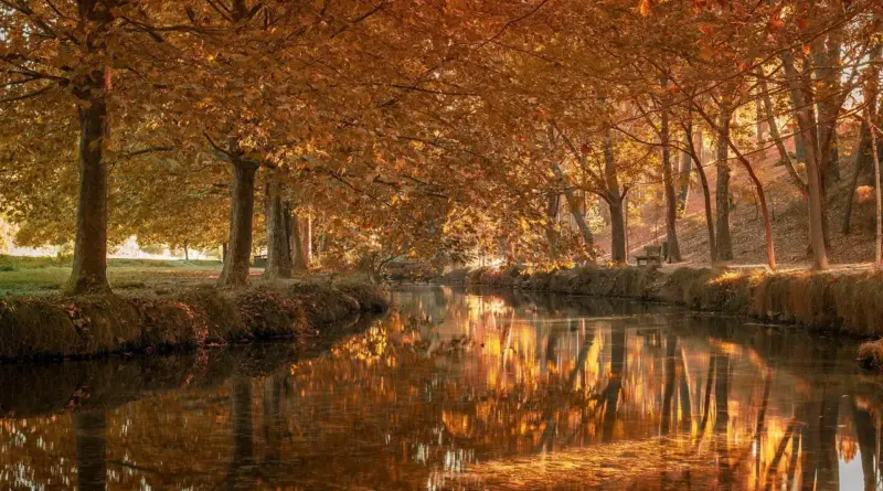 12 fodboldmuseer i Argentina du bør besøge