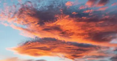 Argentinsk By i Krydsord Svar