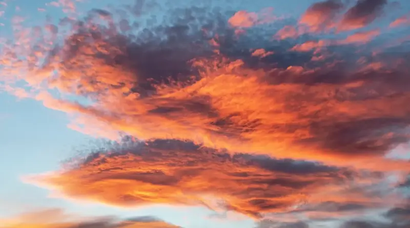 Argentinsk By i Krydsord Svar