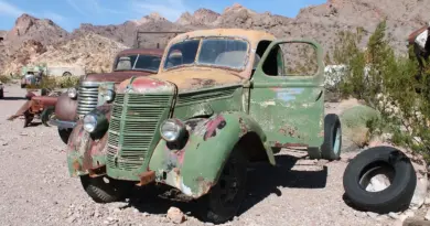 Argentinsk Fisk Krydsord