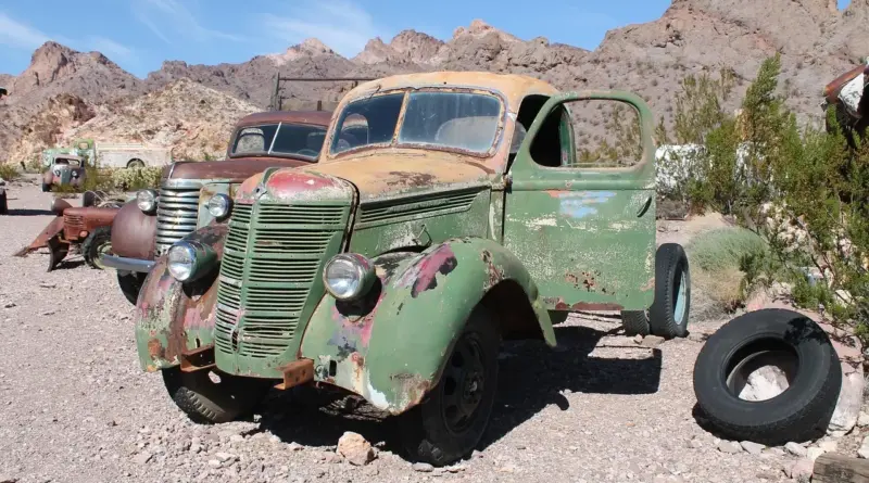 Argentinsk Fisk Krydsord