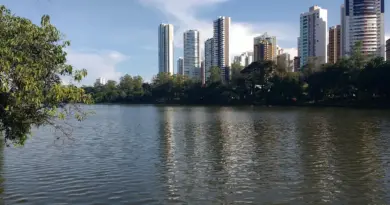 Argentinsk Flod i krydsord løsningsforslag