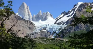 Argentinsk Komponist Krydsord Løsning