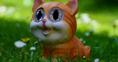 Argentinsk Maler Krydsord hjælp