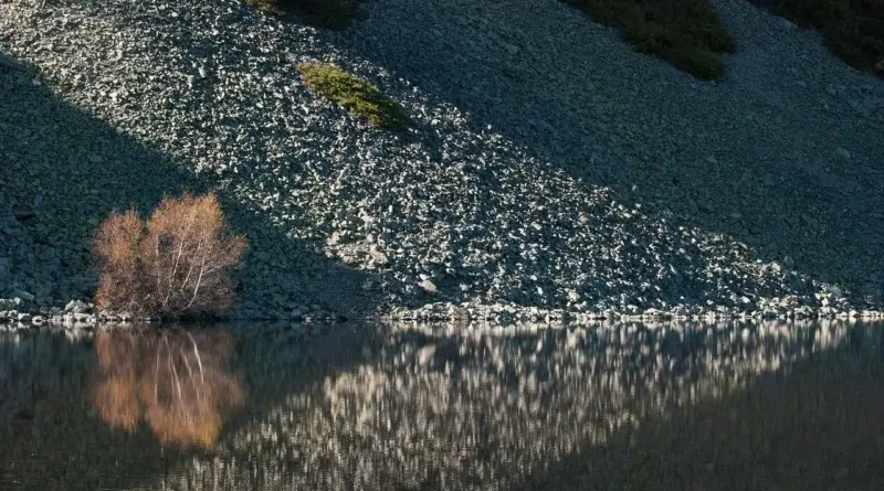 Argentinsk Sø Krydsord