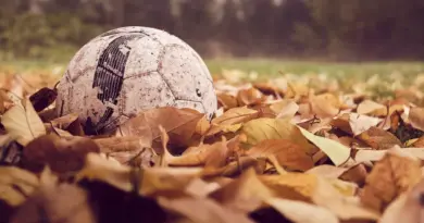 Primera B Metropolitana 2025 – Runde 17 samlet på ét sted