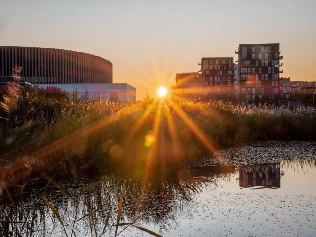 Hovedstad svar til dit krydsord