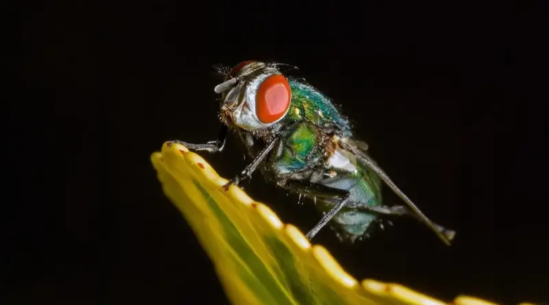 Hvem ringer fra telefonnummer 63 10 59 88