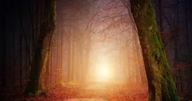 Hvordan er vejret i Argentina i juli måned?