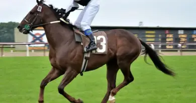 Hvordan er vejret i Buenos Aires i januar?