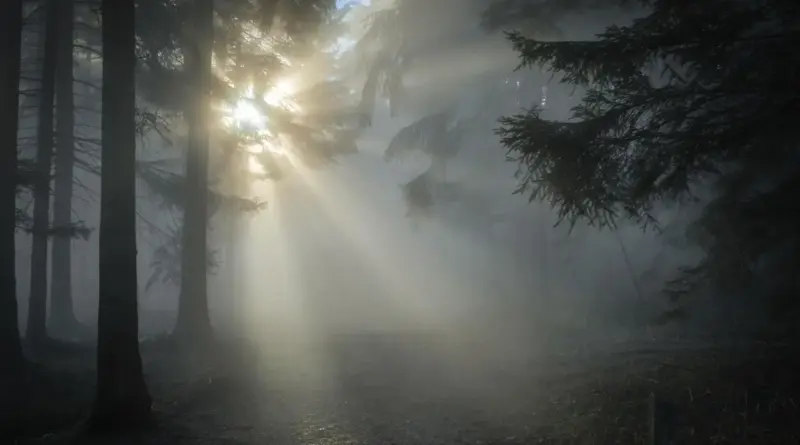 Hvordan er vejret i Buenos Aires i uge 31?