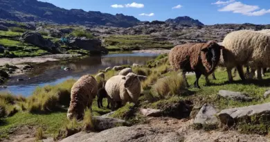 Hvordan er vejret i Córdoba i juni?