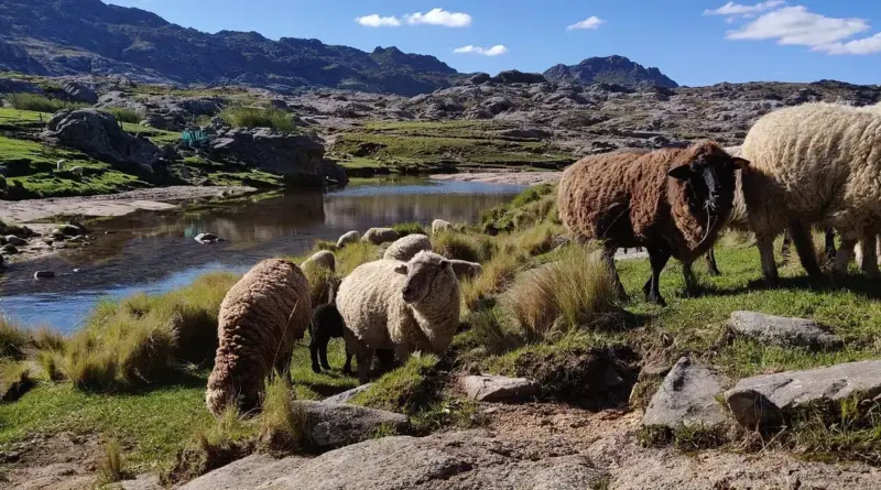 Hvordan er vejret i Córdoba i juni?