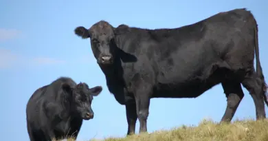 Hvordan er vejret i Córdoba i oktober måned?