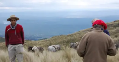 Hvordan er vejret i Córdoba i uge 30?