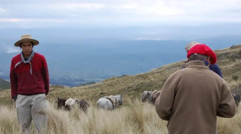 Hvordan er vejret i Córdoba i uge 30?