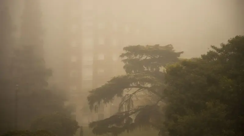 Hvordan er vejret i Rosario i maj måned?