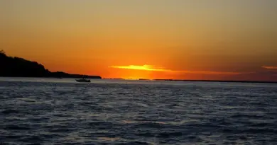 Hvordan er vejret i Rosario i uge 29?