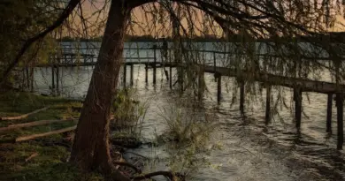 Hvordan er vejret i Rosario i uge 30?