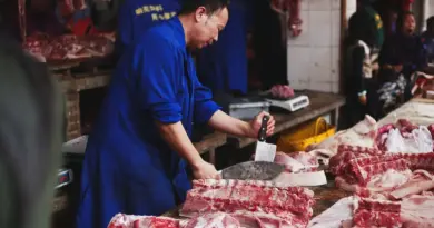 James Price kone: Livet bag navnet og parforholdet