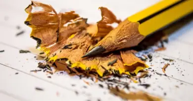 Kritik - Tips til krydsord