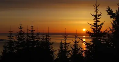 Medvirkende i Bad Boys Ii