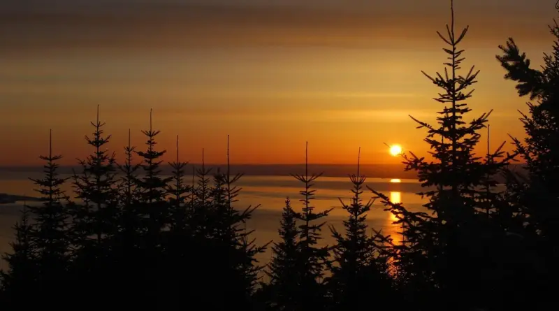 Medvirkende i Bad Boys Ii