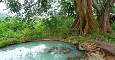 Medvirkende i Epic Movie