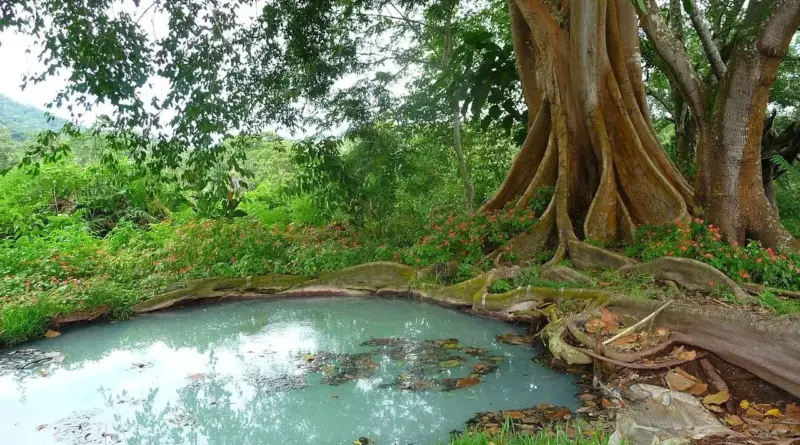 Medvirkende i Epic Movie