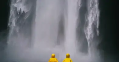 Medvirkende i Mare Of Easttown