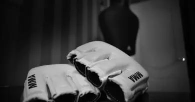 Medvirkende i Warrior