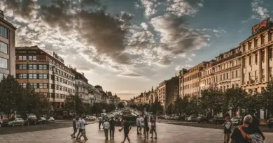 Nederlag Krydsord Guide